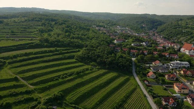 Drone is flying over the hills on the outskirts of Svaty Jur town, vineyards, 4k