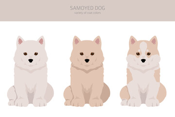 Samoyed dog puppy clipart. Different poses, coat colors set