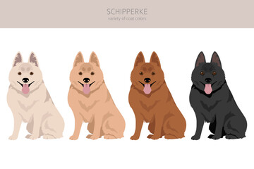 Schipperke clipart. Different poses, coat colors set