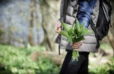 woman holding a bouquet of wild garlic