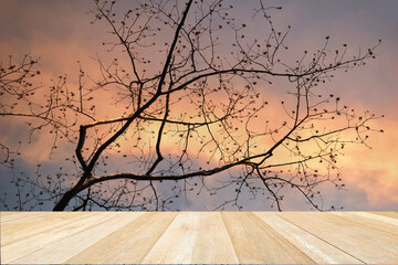 Wooden table on tree on sunset sky for background