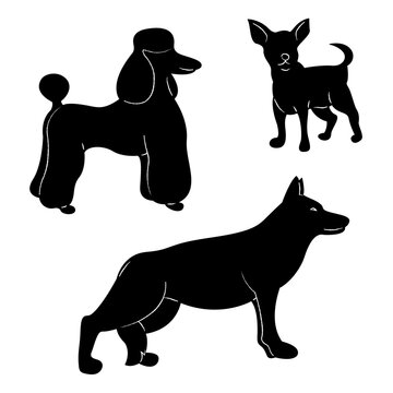 A small set of Chihuahua, German Shepherd and Poodle silhouettes. Doodle black and white vector illustration.