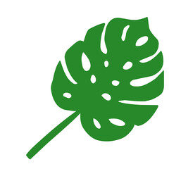 Green Palm Leaves Nature 