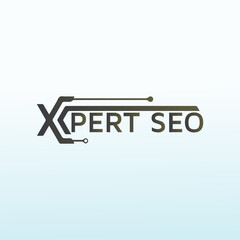 Modern logo design with X pert expert word