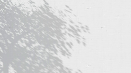 white wall with tree shadow