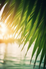 Generative Ai illustration. Nature green palm leaf ,tropical beach.
