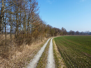 Fototapeta na wymiar Country road through the field and forest on a sunny day