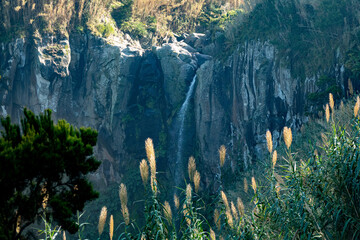 Salto da Farinha Park, Sao Miguel Waterfall, Azores Island, Portugal