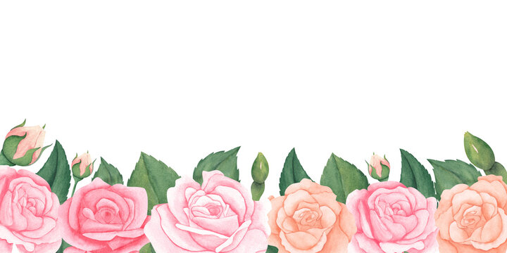 watercolor pink peach pastel roses flowers with leaves and bud.Illustration for greeting cards, frame, invitations