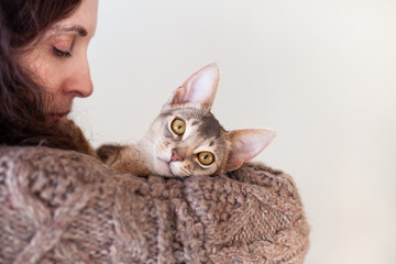 Close up of woman wearing knitted sweater hugging her grey cat. Cute Abyssinian kitten of blue color. Neutral colors. Cat day. Copy space. Selective focus.