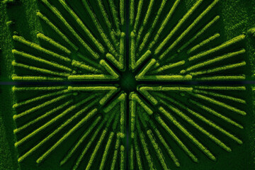 Obraz premium drone view of the geometric patterns of agricultural fields. Generative AI 