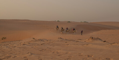 Fototapeta na wymiar Paseo en camello por el Campamento en el Desierto de Lompoul, cerca de Saint Louis , SENEGAL al atardecer 