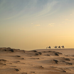 Fototapeta na wymiar Paseo en camello por el Campamento en el Desierto de Lompoul, cerca de Saint Louis , SENEGAL al atardecer 