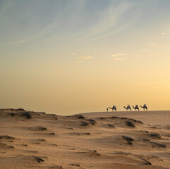 Fototapeta premium Paseo en camello por el Campamento en el Desierto de Lompoul, cerca de Saint Louis , SENEGAL al atardecer 