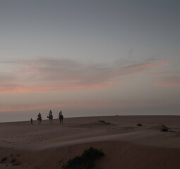 Paseo en camello por el Campamento  en el Desierto de Lompoul, cerca de Saint Louis , SENEGAL al atardecer
