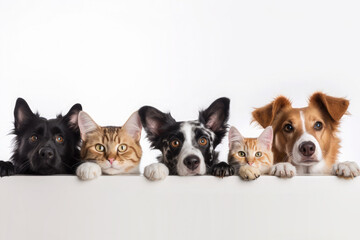 Cute and funny dogs and cats peeking out from behind a white blank banner. Concept for advertising a veterinary clinic or pet supplies. Generative AI - obrazy, fototapety, plakaty