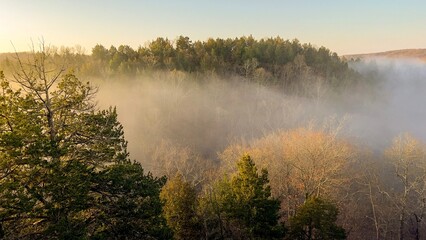 Morning Mist In Valley