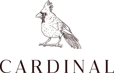 Cardinal logo design