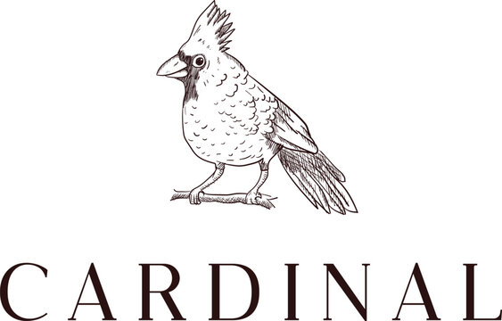 Cardinal logo design