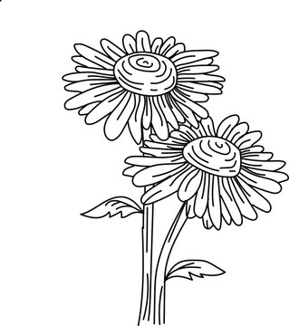 Hand drawn flower