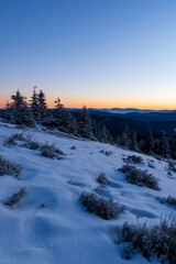 Cold winter day sunset landscape with snowy trees. Photo from Lysa peak , Beskydy mountain in Czech republic. Background Heavy snow view.