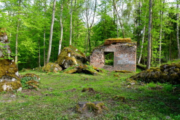 A close up on a damaged remnant of an old bomb shelter, bunker or other military structure from WWII covered with moss, shrubs, and other flora, spotted in the middle of a forest in Poland