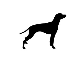 Dog Silhouette for Logo, Art Illustration, Apps, Pictogram, Website, or Graphic Design Element. Vector Illustration 