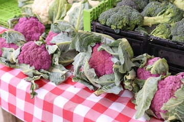 purple cauliflower 