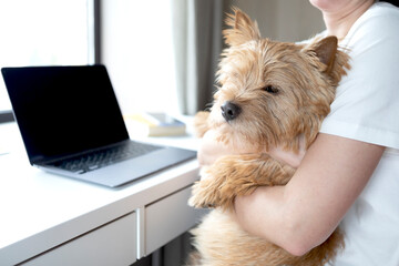 Young woman hugging her cute dog, sitting at the table and working on laptop