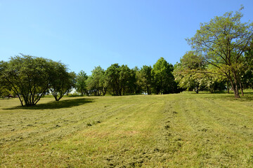 A large undeveloped plot of land on a hill with freshly cut grass