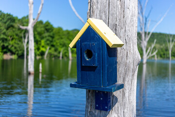 Blue Handpainted Birdhouse on Tree Over Lake Water
