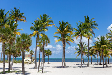 Plakat lifeguard hut on beach with palm trees
