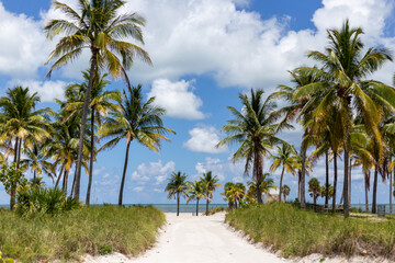 Fototapeta na wymiar Key Biscane Beach Path with Palm Trees