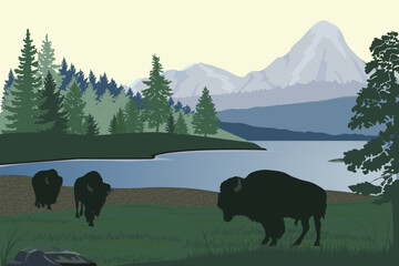 Forest landscape  with mountains, trees, lake, bisons silhouettes,  vector illustration.