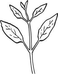 Obraz premium plant sprout drawing illustration.