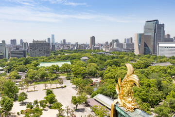 High angle view from the top of Osaka Castle with rooftops and goldfish comes down around the city.
