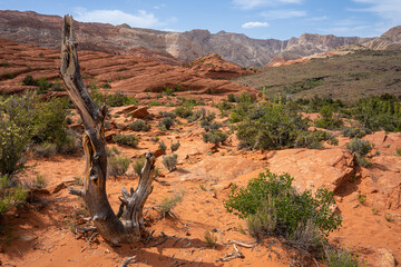 View of red rocks in Snow Canyon National Park, St. George, Utah, USA. 