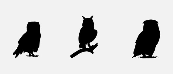 isolated black silhouette of a owl , vector collection