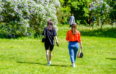 Naklejka premium Two girlfriends walk along a path in the Park 