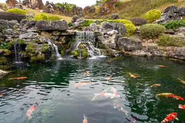 Fototapeta na wymiar Rockery rocks in the beautiful garden and boutique koi in the pond