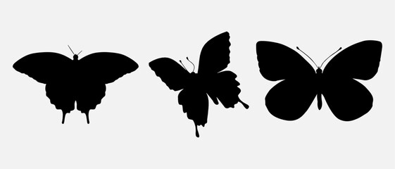 isolated black silhouette of a butterfly , vector collection