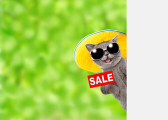 Funny cat wearing sunglasses and summer hat shows signboard with labeled 