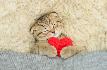 Cute fold kitten covered warm plaid hugs red heart on a bed at home. Valentines day concept. Top down view