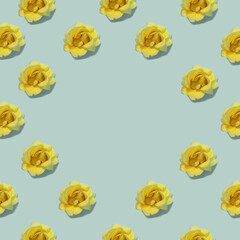 Yellow roses flower pattern on blue pastel background. Minimal flower concept. Flat lay.