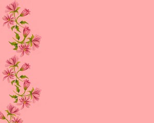 Pink flowers with plain background