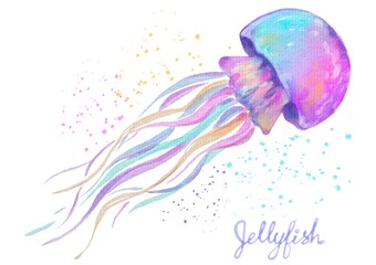 colorful watercolor jellyfish sea world