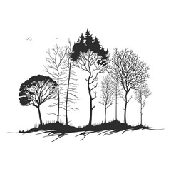 Fototapeta premium Black and white old tree vector line art illustration