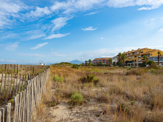 The dunes near the cost of Saint-Cyprien, France.