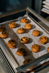 aromatic freshly baked buns lie on parchment paper and baking tray after baking bakery production of pastries