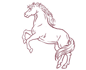 Obraz na płótnie Canvas horse isolated on white vector for illustration card decoration